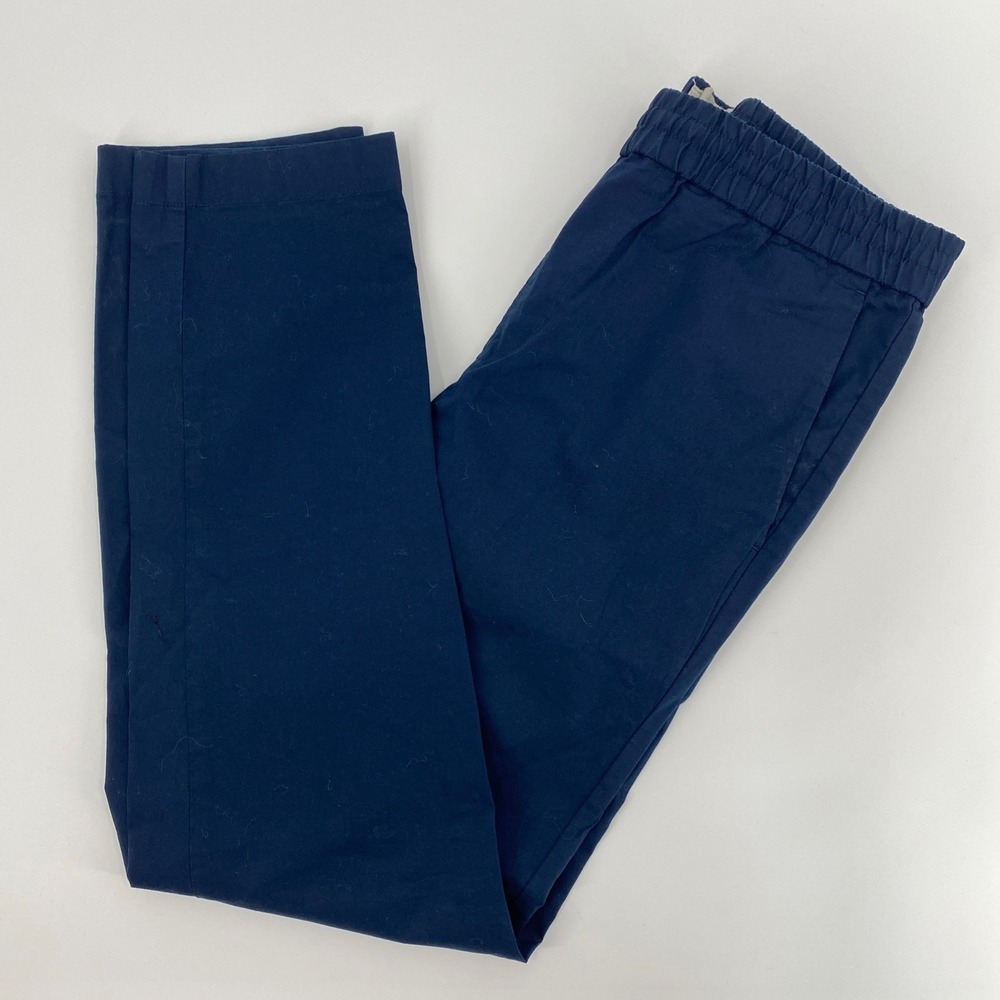 Everlane Chino Pants Womens S 30 Blue Elastic Waist Slim Pull On Luxury Business